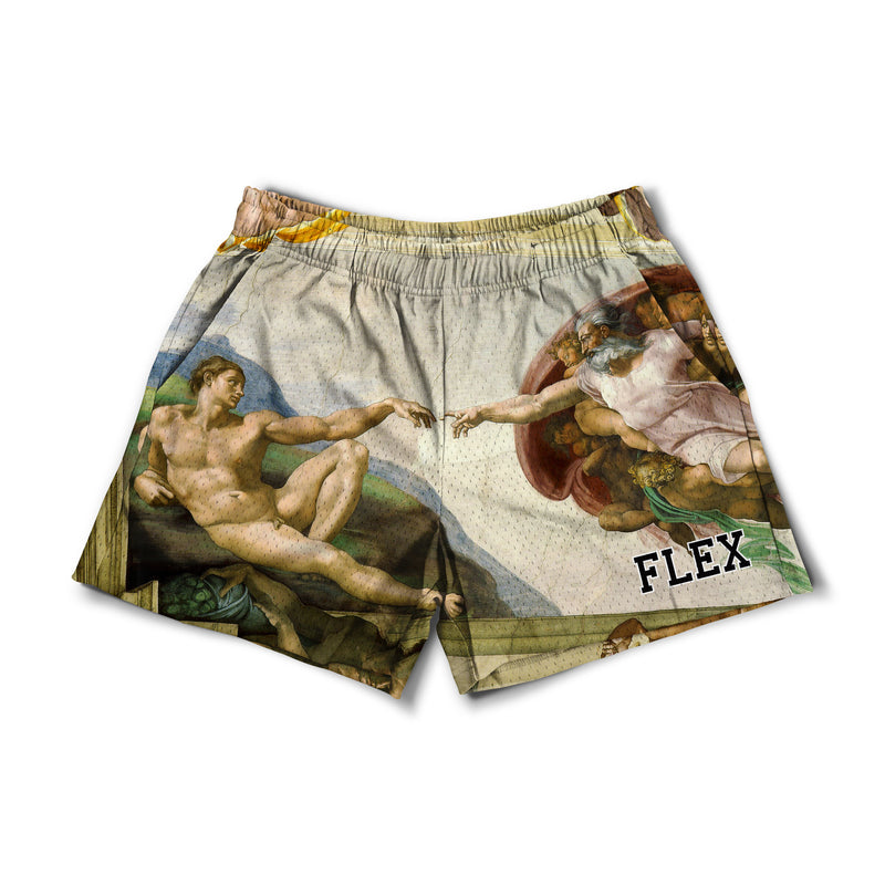 Mesh Flex Shorts 5 - Creation Of Adam (Preorder)